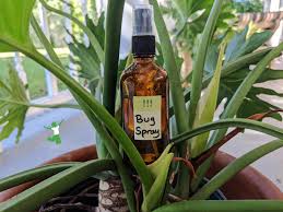homemade bug repellent spray healthy