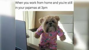 When tuesday wednesday thursdayand friday feel like amonday imgflip.com work days. Best Work From Home Memes We Found Online While Working From Home Trending News News