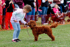 In Pictures Gorgeous Pets Thrilling Rides And Brilliant Stalls At