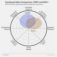 ESFP and ENTJ Compatibility: Relationships, Friendships, and Partnerships