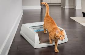 Cat litter is easily separated by mesh after pouring the litter box, the cat lick will flow into the drawer packing & delivery. Cat Litter Boxes Self Cleaning Automatic Litter Boxes Petsafe Brand