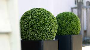Topiary Buxus Ball Realistic Artificial