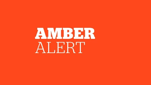 Amber alert europe is a foundation that assists in saving missing children at risk by connecting law enforcement with other police experts and with the public across europe. Amber Alert Issued For 5 Year Old Girl In Quebec Cbc News News Nation Usa