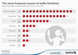 Chart The Most Frequent Causes Of Selfie Fatalities Statista