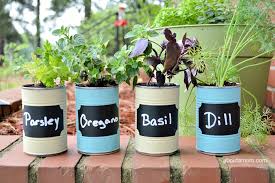 Diy Kitchen Herb Garden About A Mom