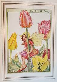 Tulip Flower Fairy Unmounted Flower