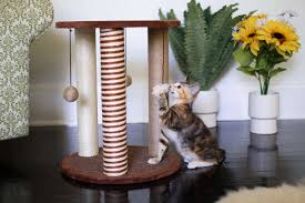 the 11 best cat scratching posts of