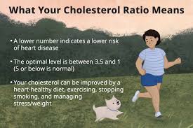 high chol hdl ratio what it means for