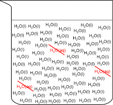 H2o Aq Does Not Exist Critique Of A