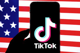 TikTok vs. – Find Out What Suits Your Needs - Blog: Latest Video Marketing Tips & News, tictok - cepedoca.org.br