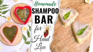diy shoo bar for head lice scalp