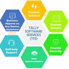 tally software service sliver