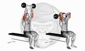 the 10 best tricep exercises updated