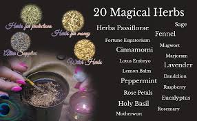 Check spelling or type a new query. Amazon Com Dried Herbs For Witchcraft Supplies Witch Herbs For Protection Herbal Magic Love Spells Money Spiritual 20 Wiccan Herbs For Wicca Altar Supplies Voodoo Magic With Wooden Spoon Health