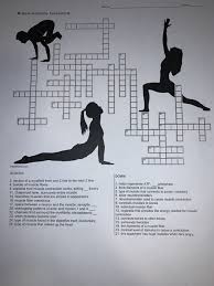 12 photos of the bone anatomy crossword. Muscle Anatomy Crossword Tutti A Across Down 2 Se Chegg Com