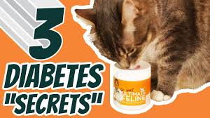 diabetes in cats best home remes