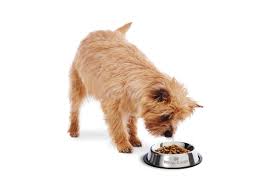 royal canin puppy food feeding chart
