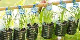 Plastic Bottles Recycle Or Repurpose