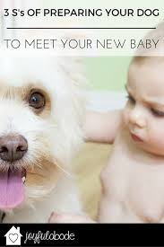 preparing your dog for your new baby