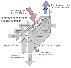 Electrolysis Of Water And Fuel Cell