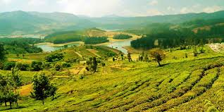one day mysore to ooty tour by cab