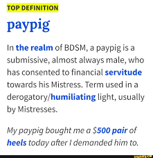 Paypig In the realm of BDSM, a paypig is a submissive, almost always male,  who has