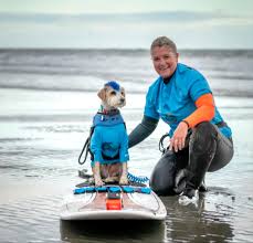 surfing dog chions pet therapy itv