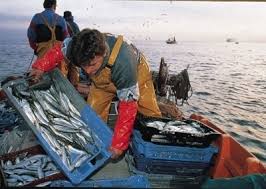 Image result for pescadores