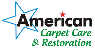 american carpet care reviews panama