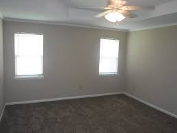 bedroom with trey ceiling