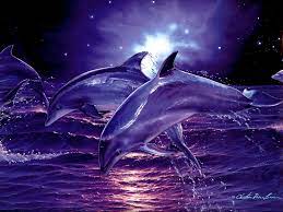 Free Dolphin Wallpapers For Desktop on ...