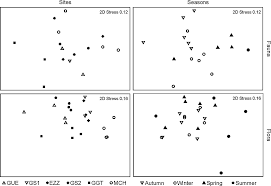 Spatio-temporal variability of faunal and floral assemblages in ...