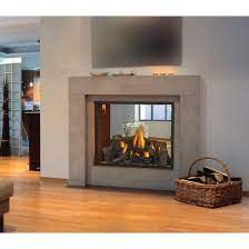 440 Best See Thru Fireplaces Ideas
