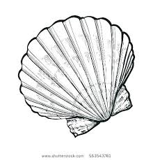 768 x 1024 file type: Free Printable Seashell Coloring Pages Seashell Coloring Pages Printable Sea Shell Coloring Page Seashell Picture Shell Drawing Shell Tattoos How To Draw Hands