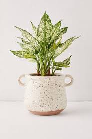 kiera speckled ceramic 6 planter