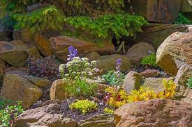 Create A Rockin Rock Garden Colorado