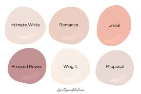 Gorgeous Pink And Blush Paint Colors
