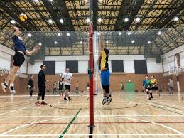 volleyball tokyo gaijins