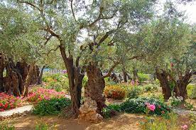the garden and gethsemane donknebel com