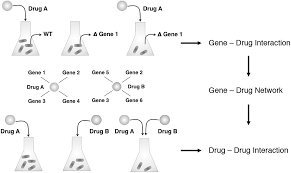 Predicting Drug Interactions From Chemogenomics Using Indigo