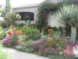 Layout 2 For Drought Tolerant Plants
