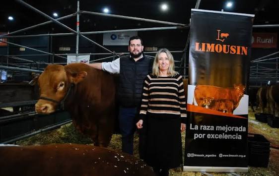 En Palermo la Asociación de Criadores de Limangus celebra 60 años El informe de la Exposición Rural indica que "se consolida su expansión como aliada para la producción de carne de calidad,