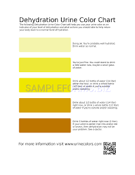 Preview Pdf Dehydration Urine Color Chart 1