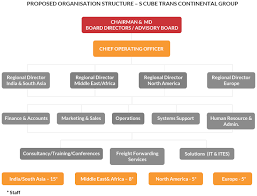 Proposed Organisation Structure S Cube Trans Continental Group