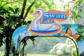 The lost world of tambun is located at a mere distance of 2 hours from kuala lumpur and is not just another theme park. Lost World Of Tambun Travel Guidebook Must Visit Attractions In Ipoh Lost World Of Tambun Nearby Recommendation Trip Com