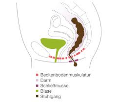 Blut im stuhl kann ganz unterschiedlich aussehen und. Stuhlinkontinenz Darminkontinenz Symptome Ursachen Behandlung Pflege De