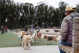 best dog parks in san francisco