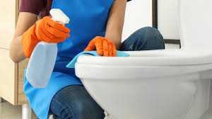 cleaning your toilet seat with bleach
