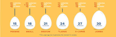 Sizing Up Eggs Egg Safety Center