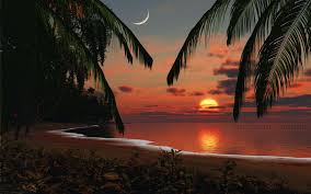 Originally from toronto, currently maldives beach sunset widescreen high definition wallpaper for desktop background download maldives beach images free beach sunset. Tropical Desktop Wallpaper Hd Sunset